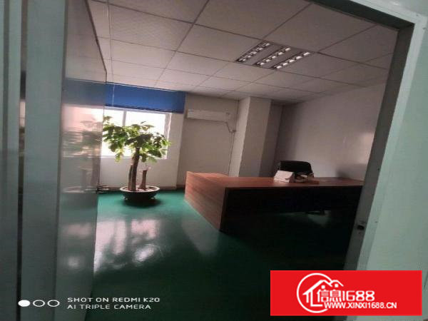 桥头新出厂房，全厂全新豪华装修，水电齐全零转让费