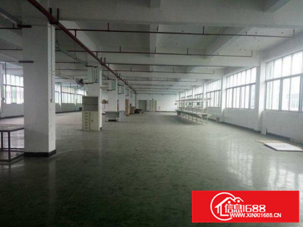 龙岗区横岗189工业区楼上300平米原房东招租，带电梯
