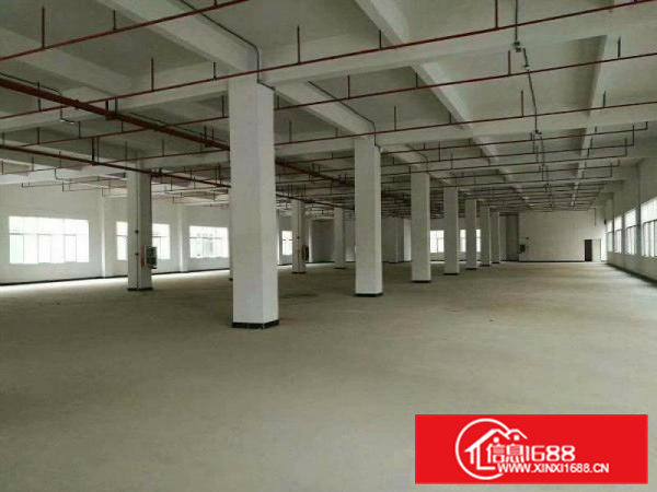 凤岗原房东独门独院全新红本厂房出租