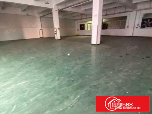 塘厦石潭布标准厂房800平！消防合格，现成格局