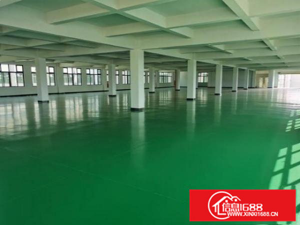 独门独院原房东标准厂房带现成装修