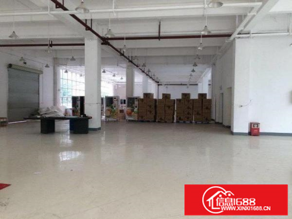 好招工，人流旺，可办环评，北滘1500方厂房出租