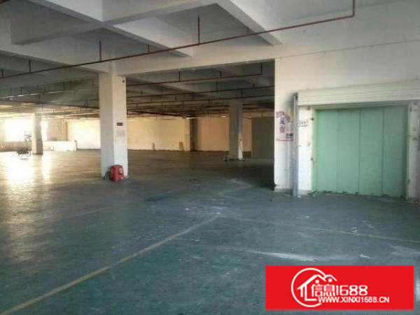 高埗标准厂房分租楼上1200平方带地坪漆出租租金便宜价格好谈