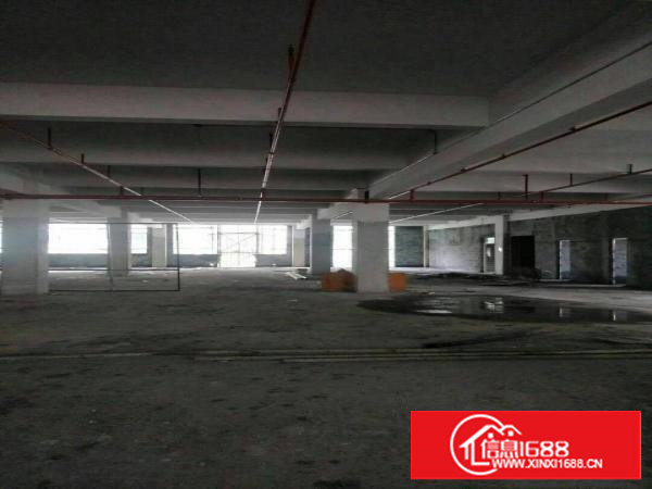 沙湖独栋新建重工业厂房招租！整层覆盖消防喷淋！