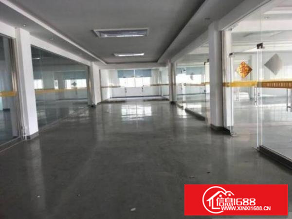 常平袁山贝原房东钢构厂房2800平方（可分租）