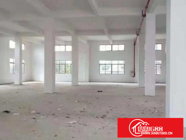 大岭山原房东独门独院厂房1000平方