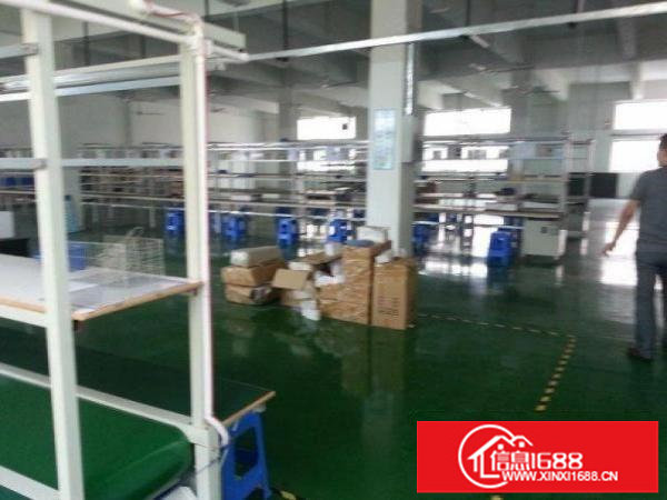 出租龙岗区横岗松柏楼上厂房1200平方带精装修