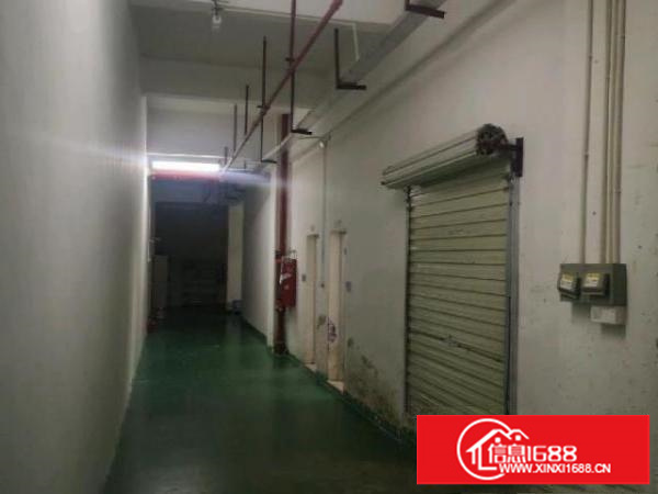 观澜1600平厂房仓库出租