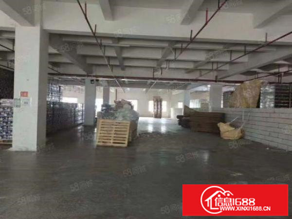 观澜主干道边上，位置优越，超大空地独院厂房4800平方可分租