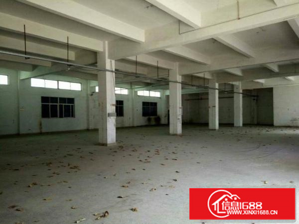 平湖华南城边一楼面积800平米出租可分租急急