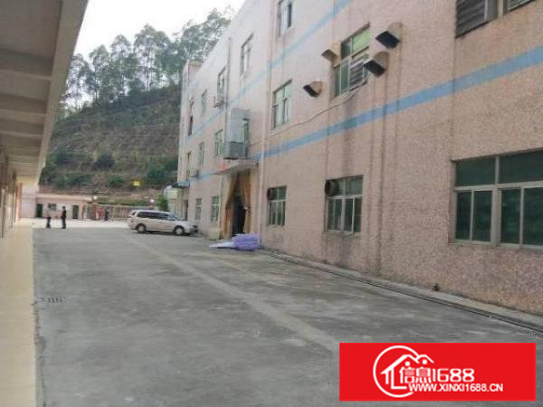 坪山碧岭新出原房东带装修一楼600平厂房出租