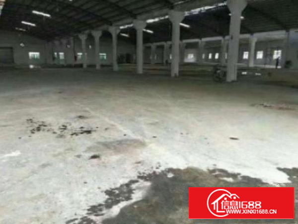 万江独栋单一层钢构厂房出租2300平方出租