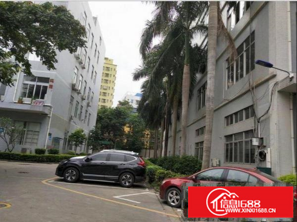 坪山坪环村新出楼上260平方精装修厂房出租