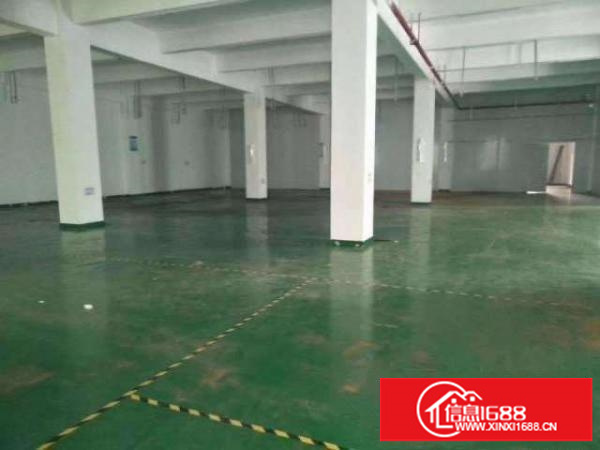 大浪石龙仔工业区新出500平600平800平带装修厂房招租