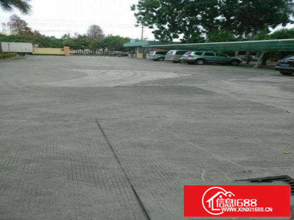 东莞原房东独院40000平方无公摊14元出租