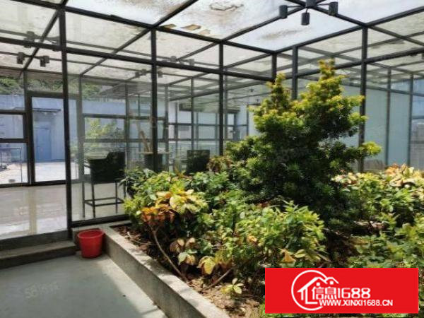 横岗安良原房东花园式独院厂房7100平19元