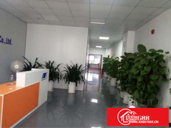 大浪商业中心附近高新产业园精装修实用面积大环境好