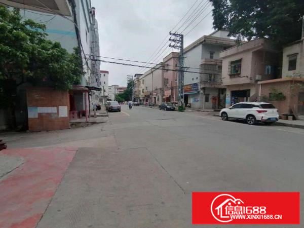 出租茶山标准厂房价格好马路旁厂房地皮一手房二手房出租买卖