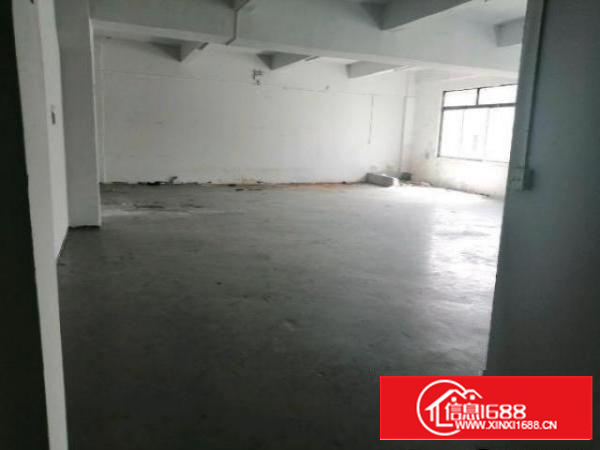 万江标准厂房仓库一楼250～500平方出租