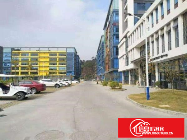 大岭山厚大路百花洞高新技术产业园新空出楼上24楼9000平