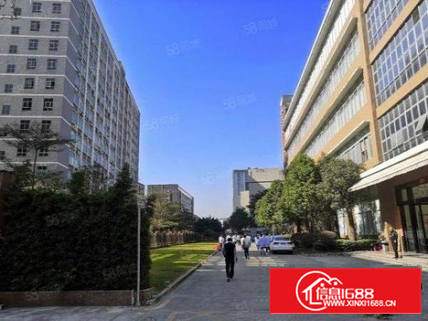 石岩高新园区新出12765平整栋厂房出租，超长合同期