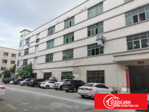 一手房东直租标准独院厂房独立办公宿舍空地大停车位充足交通方便