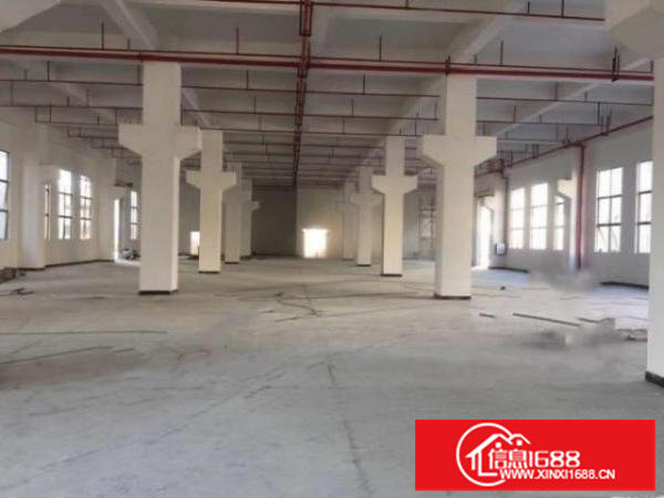 大浪大型工业区整层一楼1350平方米出租