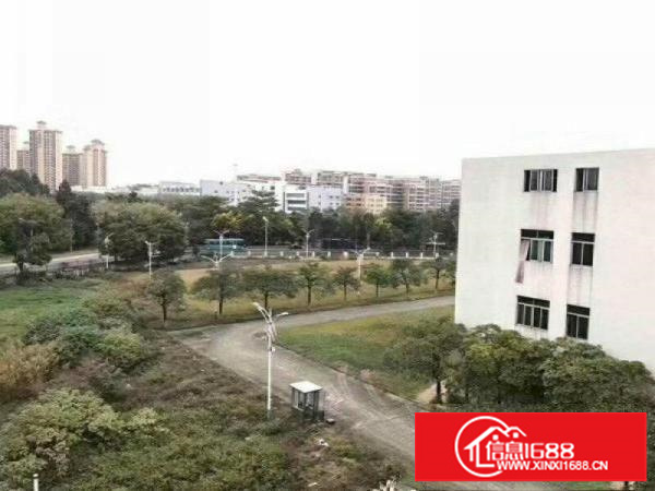 龙岗红本独院厂房招租