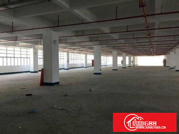 仲恺TCL旁一楼厂房出租2500平米层高6米