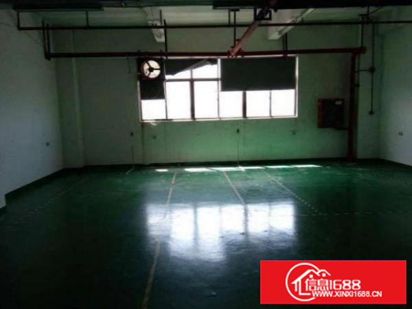 清溪铁场村急租一楼550平厂房，证件齐全