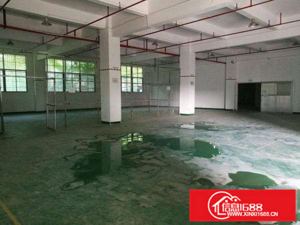 平南高速出口新出独院厂房10900平一到五层