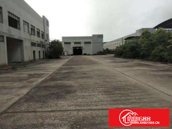 狮山新出花园式靓厂砖墙到顶证件齐全