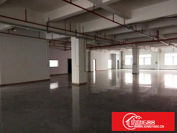 高埗镇工业园分租二楼880平带地坪漆办公室消防喷淋