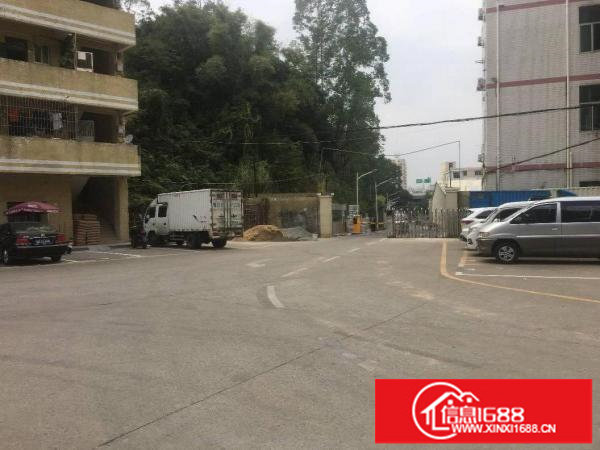 布吉丹竹头新空出豪华装修办公仓库368平方出租