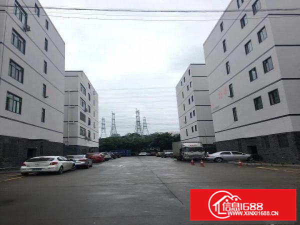 大浪新百丽旁出3楼360平带精装修适合电商办公贸易