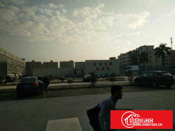 东莞市凤岗镇天堂围工业区主干道边新建大型物流园出租