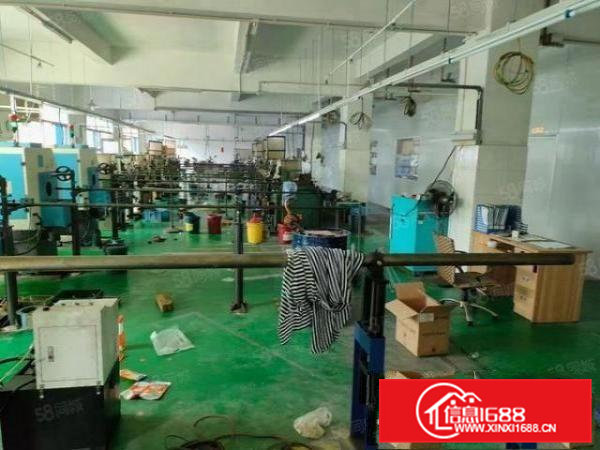 独门独院9800平方，可分租1350平方