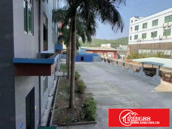 桥头石水口新出2楼1900平带装修厂房出租可分租