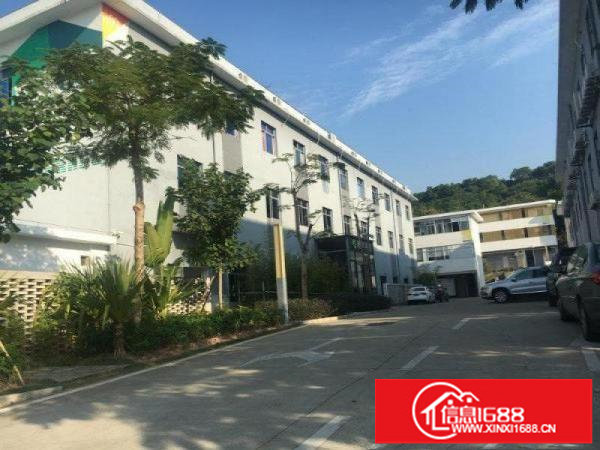 龙西（业主直租）独门独院厂房2400平方大小分租