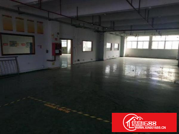 坂田上雪科技城厂房仓库160平200平米出租