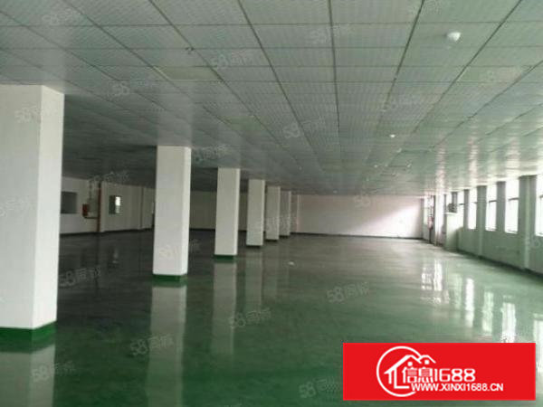 清溪三中原房东二楼1300平方带装修急租