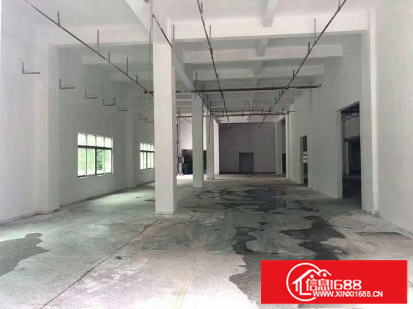 高埗标准一楼1500平方厂房出租带消防喷淋水电齐全