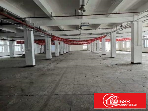 上屯经典独院厂房出租2000平方，院子超大！面积大小按需！