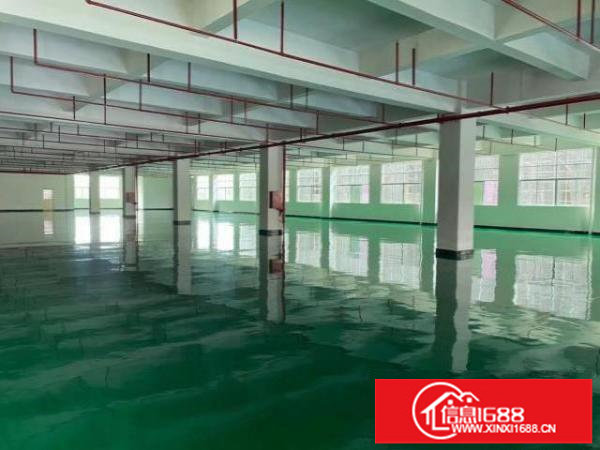 出租厂房3850平方三楼有地坪漆办公室装修