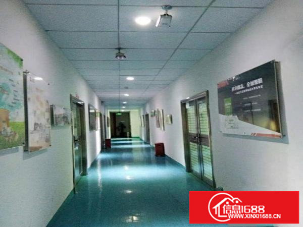 横岗六约沃尔玛附近新出楼上500平带精装修红本厂房