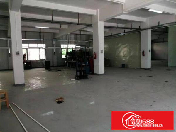 寮步横坑标准独院分租小面积500平方，无公摊，交通方便！