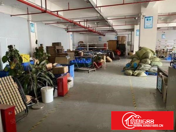 15元起租，凤岗五联楼上2000平精装修，有喷淋