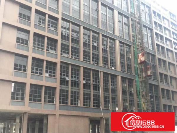 松岗潭头高薪园区3万平大小分租3300平一层出租