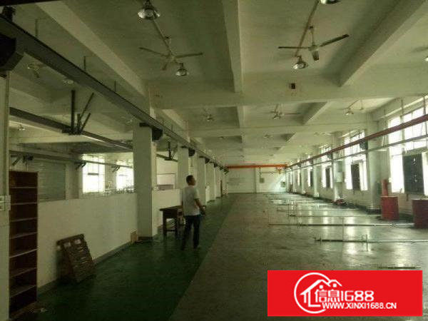 横岗安良原房东厂房600平出租带装修