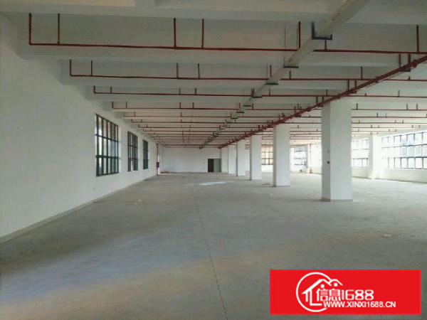 全新单一层厂房1500平米（带装修）